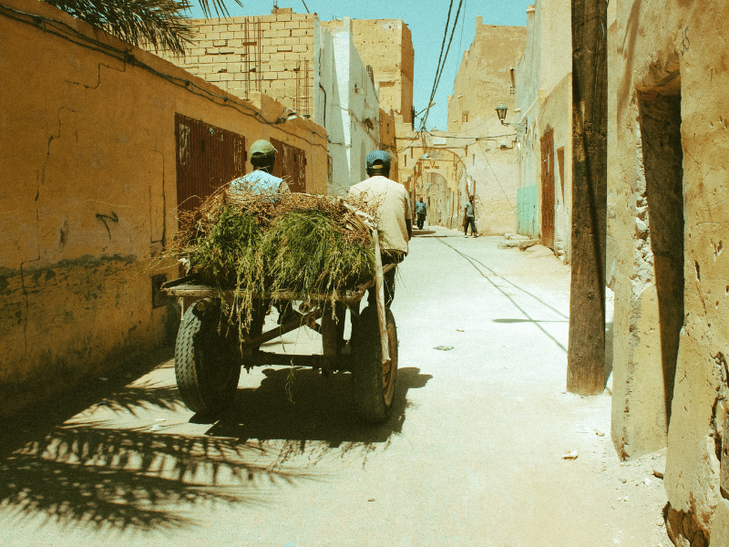 A street in Algeria